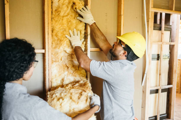 Best Basement Insulation  in Mesita, NM